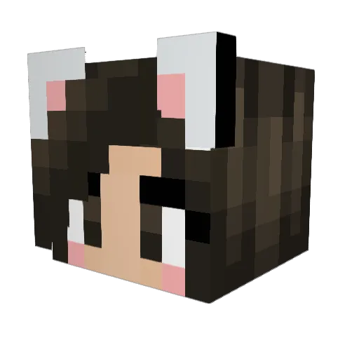 Tiger_Bi Minecraft avatar head, 3D render