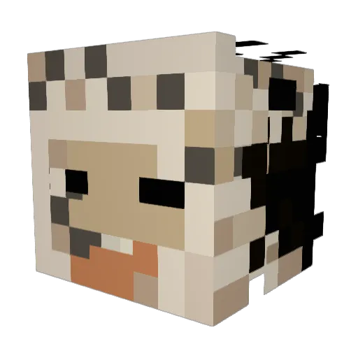 Tiger_Dookie Minecraft avatar head, 3D render