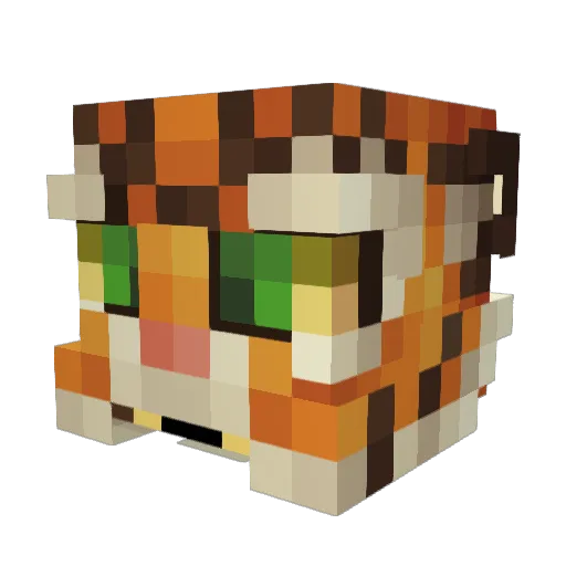 Tiger_Magition Minecraft avatar head, 3D render