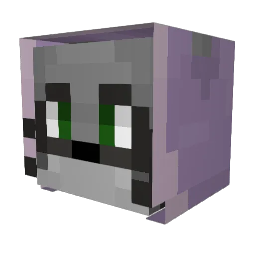 Tiger_S80 Minecraft avatar head, 3D render