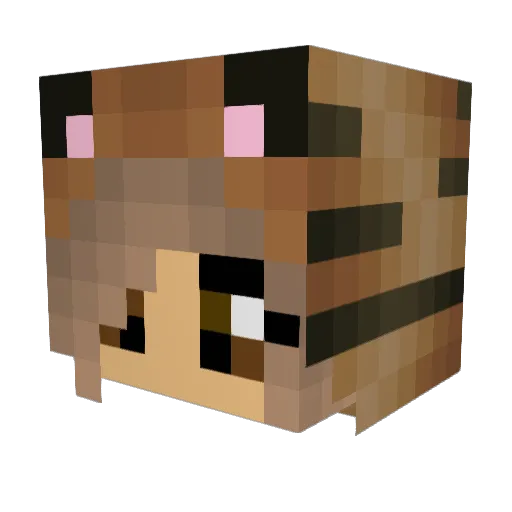 Tiger_Stripes101 Minecraft avatar head, 3D render