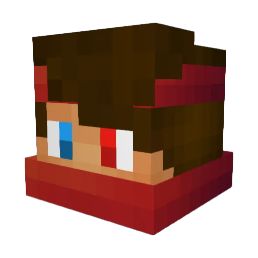 Tiger_X Minecraft avatar head, 3D render