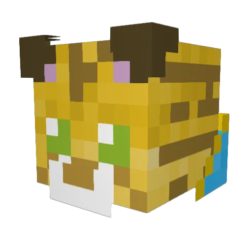 Tiger__Knight Minecraft avatar head, 3D render