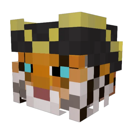 Tigerblu Minecraft avatar head, 3D render