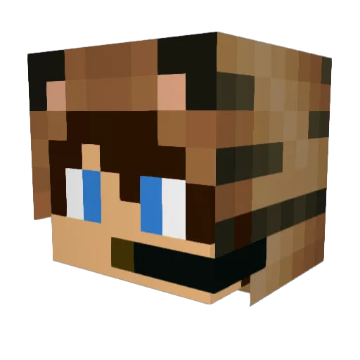 Tigerboy0110 Minecraft avatar head, 3D render