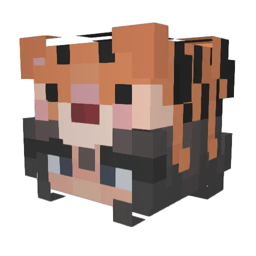 Tigercraft142 Minecraft avatar head, 3D render