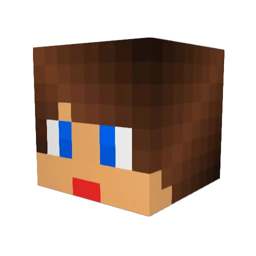 Tigerdude10 Minecraft avatar head, 3D render