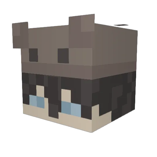 Tigerdyr1108 Minecraft avatar head, 3D render