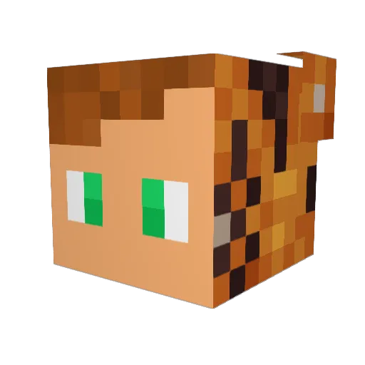 Tigerdyret_IDK Minecraft avatar head, 3D render