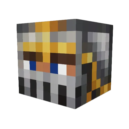 Tigerfan452 Minecraft avatar head, 3D render