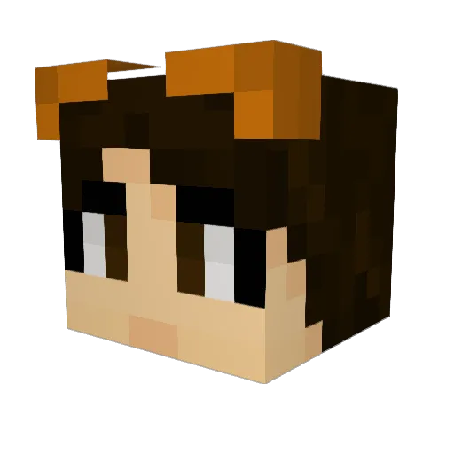 Tigerishbook Minecraft avatar head, 3D render
