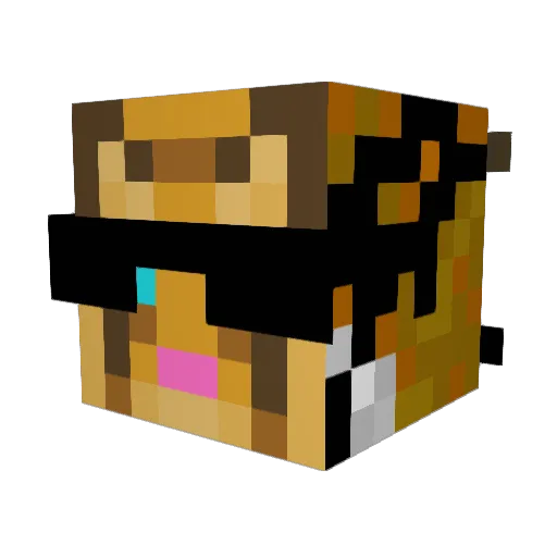 Tigerjon154321 Minecraft avatar head, 3D render
