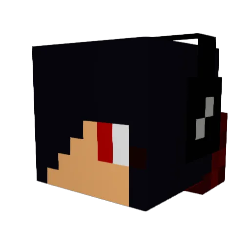 Tigerkerr7 Minecraft avatar head, 3D render