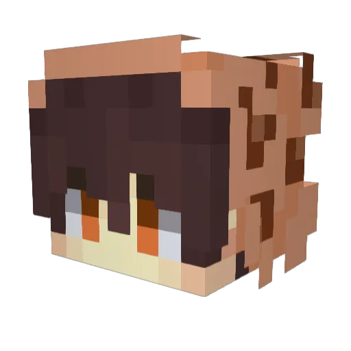 Tigerkov Minecraft avatar head, 3D render