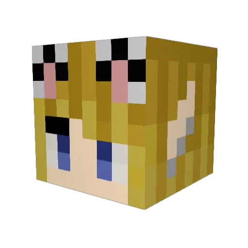 Tigerkytti Minecraft avatar head, 3D render