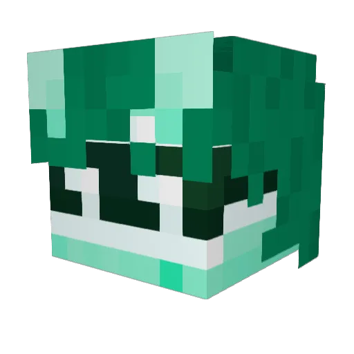 Tigerlily289 Minecraft avatar head, 3D render