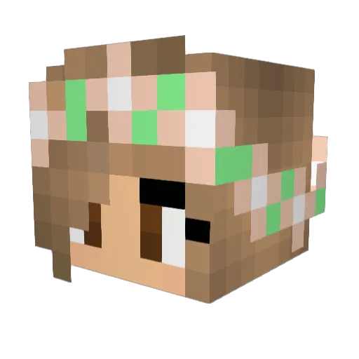 TigerlilyGaming Minecraft avatar head, 3D render