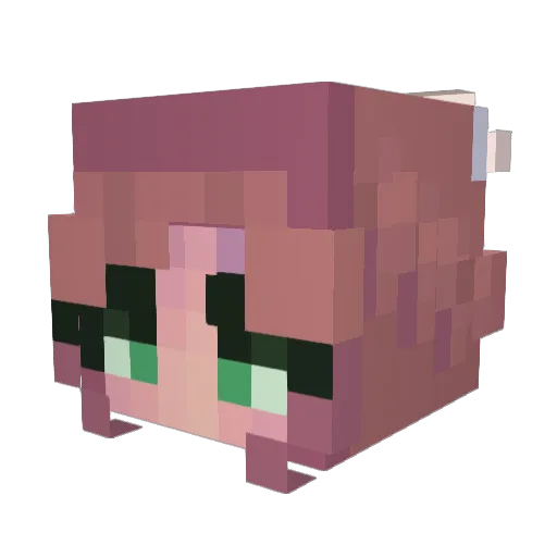 Tigerlioness33 Minecraft avatar head, 3D render