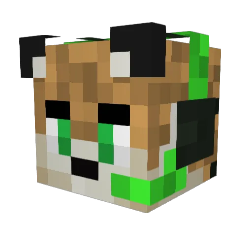 TigerosSlo Minecraft avatar head, 3D render