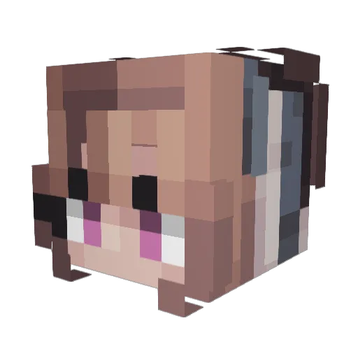 Tigerpeppe Minecraft avatar head, 3D render