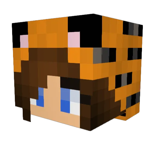 TigersEye Minecraft avatar head, 3D render