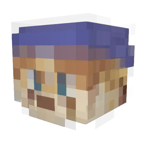 Tigershark1237 Minecraft avatar head, 3D render