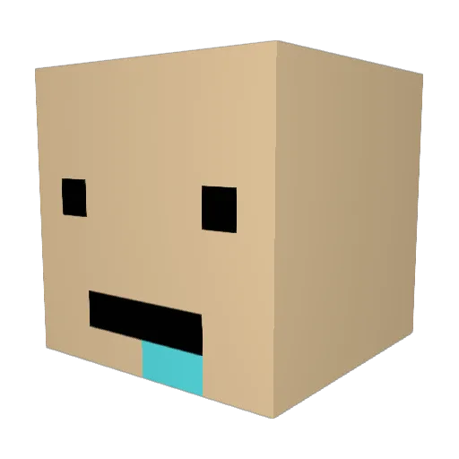 Tigershark8060 Minecraft avatar head, 3D render