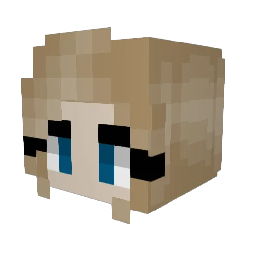 Tigershark8255 Minecraft avatar head, 3D render