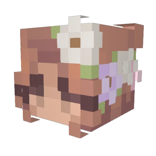Tigerstern01 Minecraft avatar head, 3D render