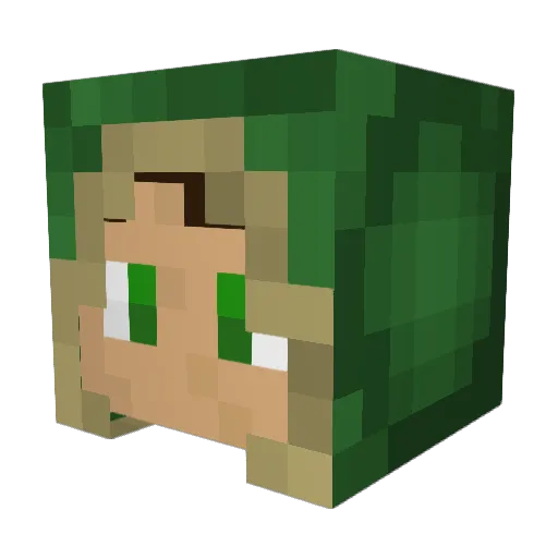 Tigerstout Minecraft avatar head, 3D render
