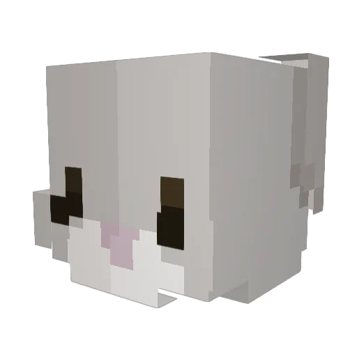 Tigert0es Minecraft avatar head, 3D render