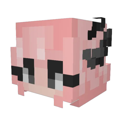 Tigertrouble07 Minecraft avatar head, 3D render