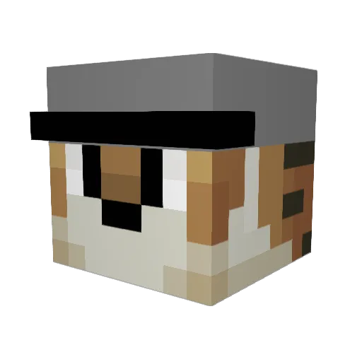 Tigertyler09 Minecraft avatar head, 3D render