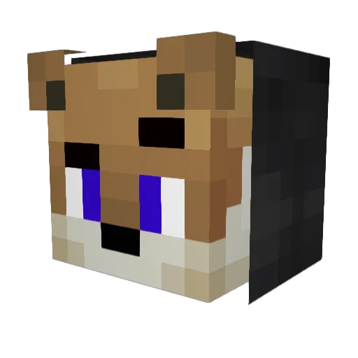 Tigerz22 Minecraft avatar head, 3D render