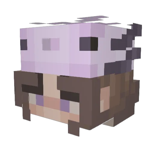 Tigerz4Life0102 Minecraft avatar head, 3D render