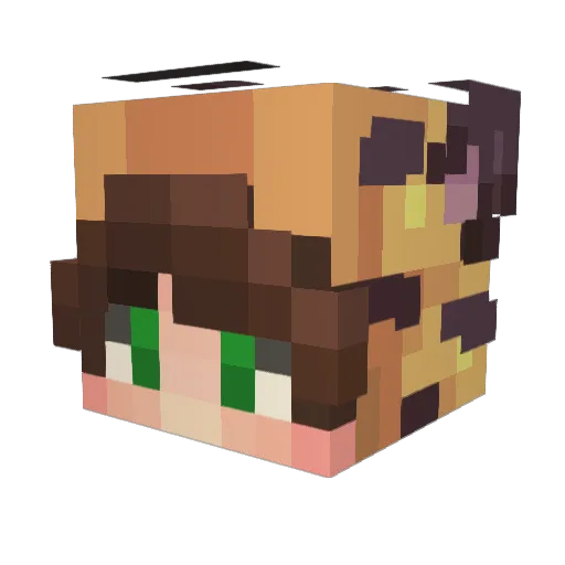 Tiget Minecraft avatar head, 3D render