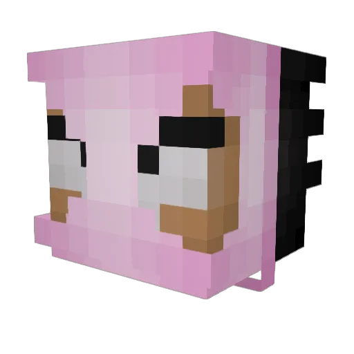 TiggaTheTaiga Minecraft avatar head, 3D render