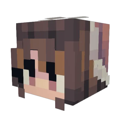 Tigger256 Minecraft avatar head, 3D render