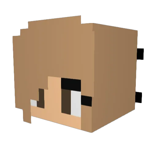 Tigger_79 Minecraft avatar head, 3D render