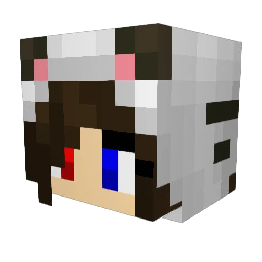 Tiggi1304 Minecraft avatar head, 3D render