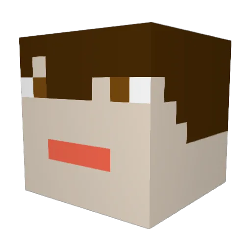 Tiggz1901 Minecraft avatar head, 3D render