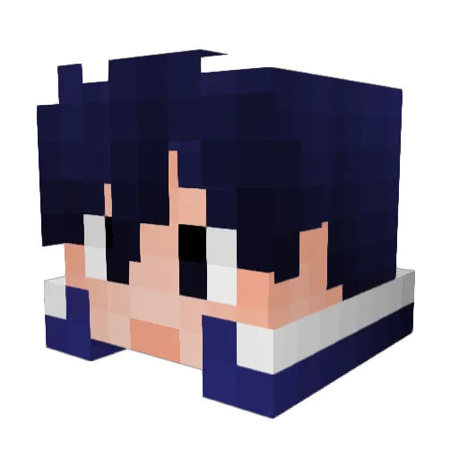 Tighty_Whitey Minecraft avatar head, 3D render
