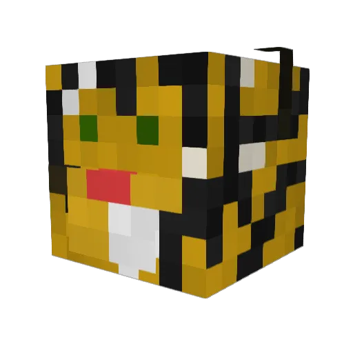 Tigi774 Minecraft avatar head, 3D render