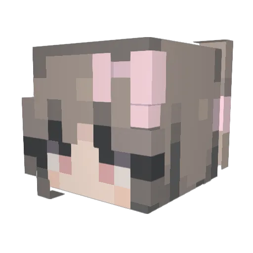 Tigichan Minecraft avatar head, 3D render