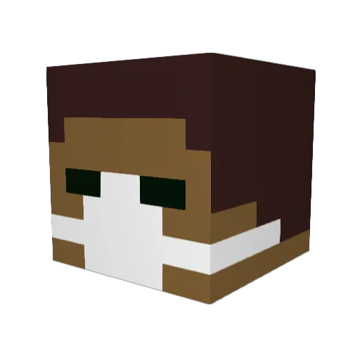 TigirisX Minecraft avatar head, 3D render