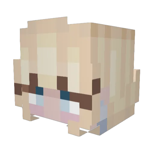 Tignari Minecraft avatar head, 3D render