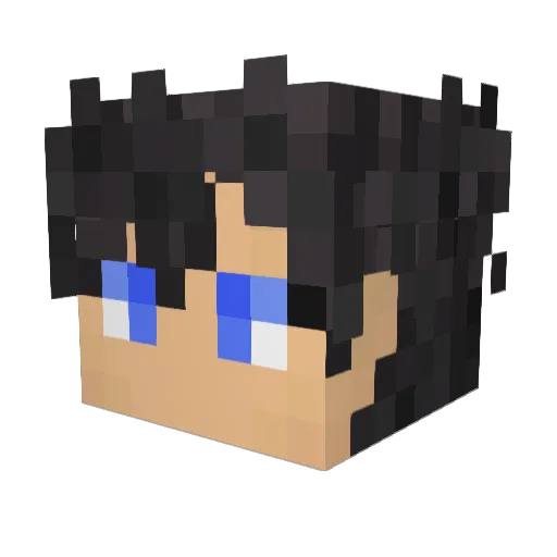 Tigorra Minecraft avatar head, 3D render
