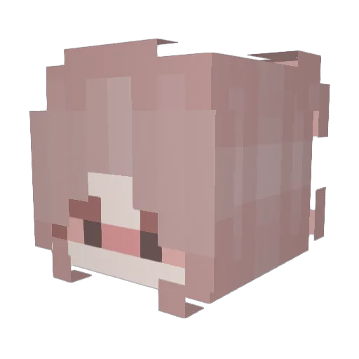 Tigra Minecraft avatar head, 3D render