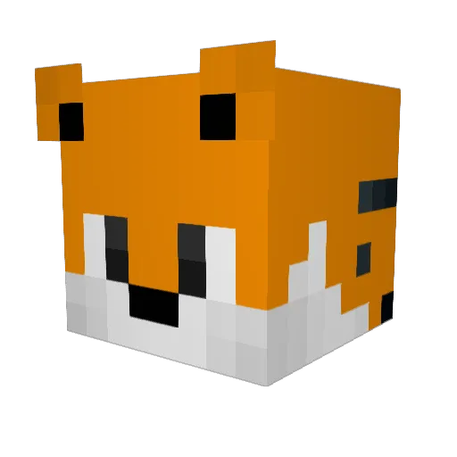 Tigrao Minecraft avatar head, 3D render