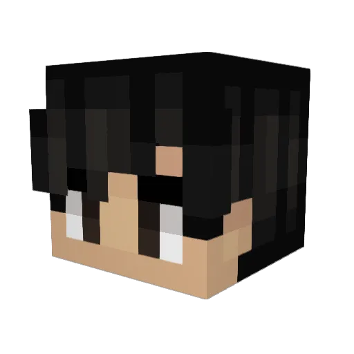 Tigre6o6 Minecraft avatar head, 3D render